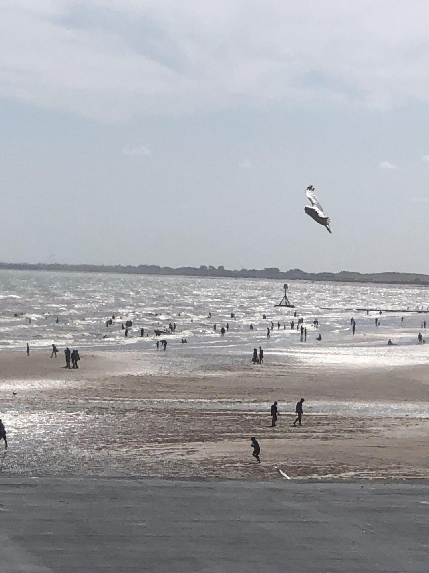 Salt On The Harbour Bed & Breakfast Bridlington Luaran gambar